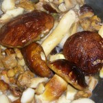 fagiano con funghi porcini