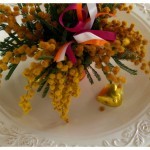 mimose donna marinella