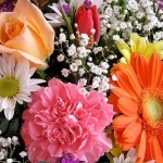 Galateo: Ditelo con i fiori Galateo: Quanti e quali fiori regalare?