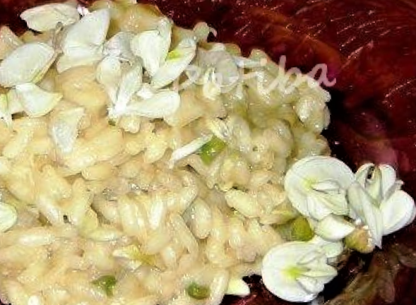 riso fiori acacia- (2)
