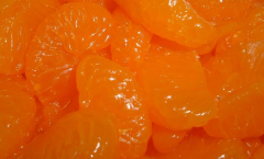 agrumi sciroppati arance mandarini