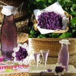 violette liquore