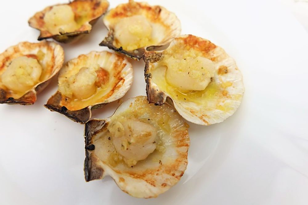 coquilles saint jacques cappesante Grilled_Scallops